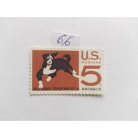 США   1966