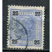 Австро-Венгрия - 1901/1903 - Император Франц Иосиф - 25H - [Mi.91] - 1 марка. Гашеная.  (Лот 30EL)-T2P8