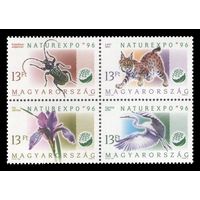 1996 Венгрия 4399-4402 Флора и фауна. Выставка NATUREXPO'96 в Будапеште. Жук. Рысь. Цапля. Ирис **