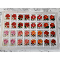 Флора. Розы. Манама (ОАЭ). 1971. 1 малый лист б/з. Michel N 411А (40,0 е)