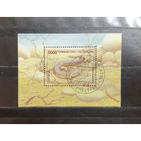 Таджикистан. 1994 год. Фауна. Рептилии (блок) (1122)