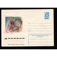 Художественный маркированный конверт СССР N 12359 (12.09.1977) С Новым годом!
