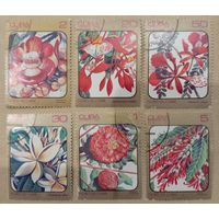 Куба 1984. Флора Карибские островов. Полная серия