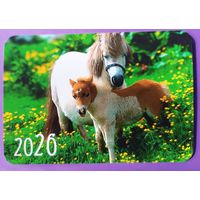 Лошади. Календарик, глянец, 2026. Траско