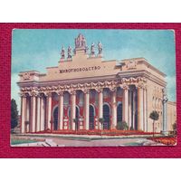 ВСХВ. Павильон животноводства. 1954 г. Чистая. Кр1.