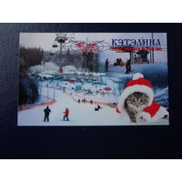 Календарик 2011 г.  Кэтэлина. Котик.