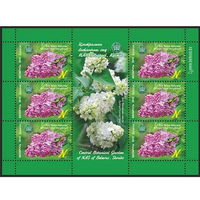 2015г Беларусь MNH  Малый лист "Сирень "Вера Хоружая"