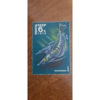 СССР 1978. Белокровная щука. Марка из серии