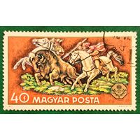 Венгрия 1971. Охота на зубра. Марка из серии