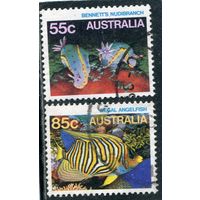 Австралия. Морская фауна