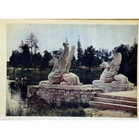 Открытка 1956  издательство Правда Марфино Грифоны на пристани фото Умнова и Фридлянда тир. 150 000