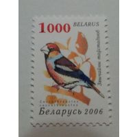 Стандарт 2006. 1000 р. Ошибка печати  (_098)