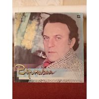 Виниловая пластинка