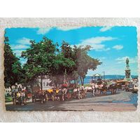 Канада, Квебек. Прогулочные кареты рядом с замком Фронтенак