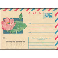Художественный маркированный конверт СССР N 9206 (20.09.1973) АВИА  [Лотос орехоносный]