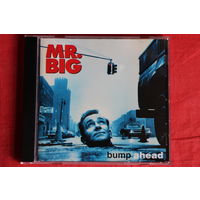 Mr. Big - Bump Ahead (1993, CD)
