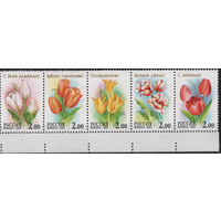 РОССИЯ 2001 СК 657-661. Сцепка. Каталог 2000 руб. Флора. Цветы Тюльпаны. **