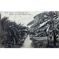Открытка Грузия Батуми Батум Александровский парк до 1917