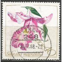 ГДР. Цветы. Орхидея крупнолистая. 1968г. Mi#1424.