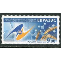 Россия 2011. Евразес