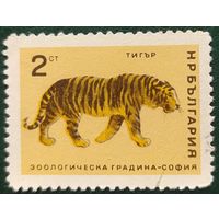 Болгария 1966 зоопарк, тигр 1 из 8.