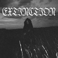 Extinction - Down Below the Fog CD