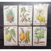 Сен-Томе и Принсипи. 1981 год. Флора. Плоды (1304)