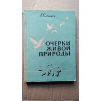 Л. Семаго. Очерки живой природы