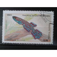 Гвинея Бисау, 1983. Рыба