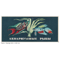 Спичечные этикетки. Аквариумные рыбы. Гросс сувенирный. 1972 год