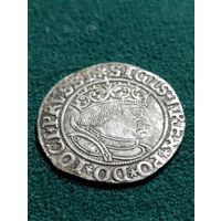 Грош, Сигизмунд I Старый, 1532, Торунь, без МЦ