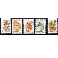 Россия-1999 (Заг.513-517) **  Розы