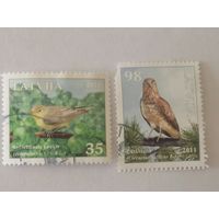 Птицы Латвии - Зеленая пересмешка (Hippolais icterina L.) и Змееяд (Circaetus gallicus L.)