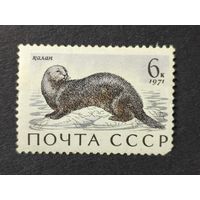 1971 СССР. Млекопитающие - обитатели морей и океанов, омывающих СССР. Калан