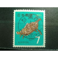 Япония, 1970. Год Свиньи