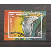 Распродажа с 1 рубля! Фауна. Экваториальная Гвинея. 1973 год. Птицы. Попугай (блок, беззцубцовка)