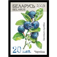 Беларусь 2025г 18-й стандартный выпуск. Чарнiцы (самокл. )MNH