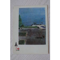 Ананьины А.и М., Капелян И., Нароч. Набережная около санатория Белкоопсоюза; 1965, чистая.