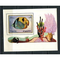 Фуджейра - 1972 - Морская фауна - [Mi. bl. 108] - 1 блок. MNH.  (Лот 100Gx)-T4P29