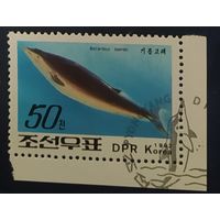 КНДР 1992 киты, животные моря 1 из 6.