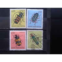 Гвинея, колония Португалии, 1953. Стандарт, Жуки.