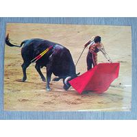 Этнография. Испания, коррида