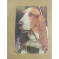 Календарь 1991 Бассет-хаунд