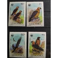 Лесото 1986 г. Птицы.