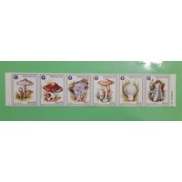 Парагвай. 1986 год. Флора. Грибы. Сцепка 6 марок (90)