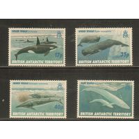 БАТ(Британская Антарктическая Территория)-1996 (Мих.250-253) , ** , Морская фауна, Киты(полная серия)