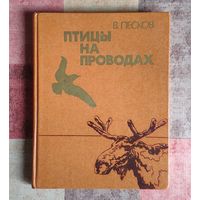 Василий Песков Птицы на проводах