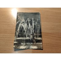 Петродворец