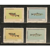 Македония-1993(Мих.8-11) , ** , Фауна, Рыбы (полная серия)