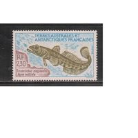Французские Антарктические Территории-1992(Мих.288) , ** , Морская Фауна,Рыбы